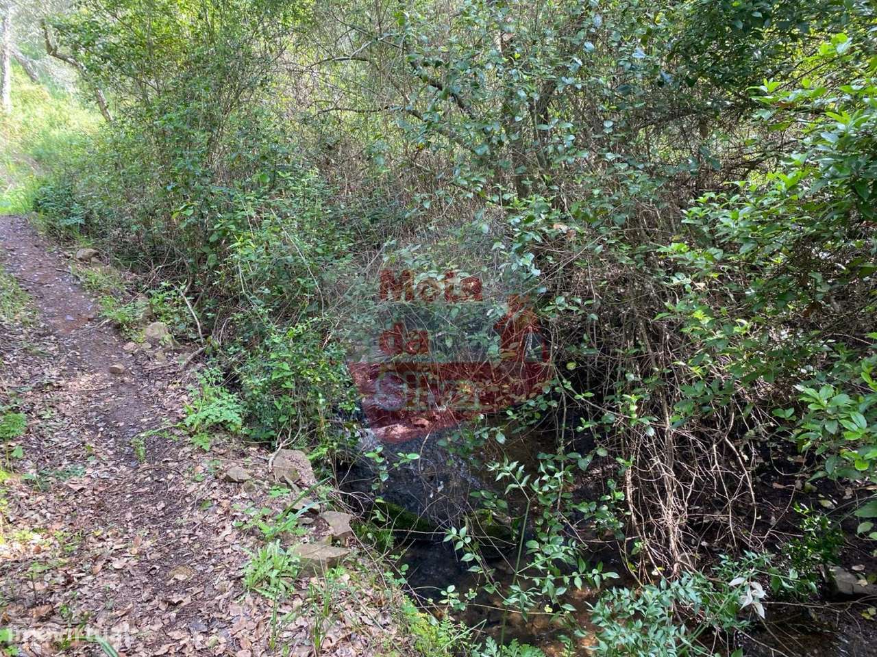 Terreno de 6ha com vista mar em São Francisco da Serra - Grande imagem: 5/15