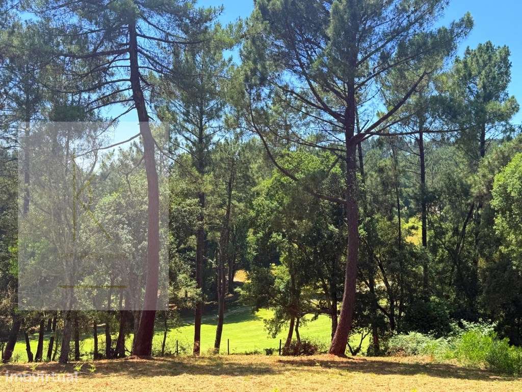 Lotes para Construção - Golf Ponte de Lima-0