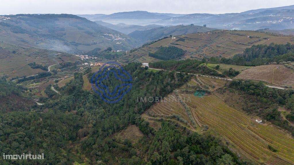 Terreno no DOURO com vistas deslumbrantes, com capacidade construtiva. - Grande imagem: 5/19