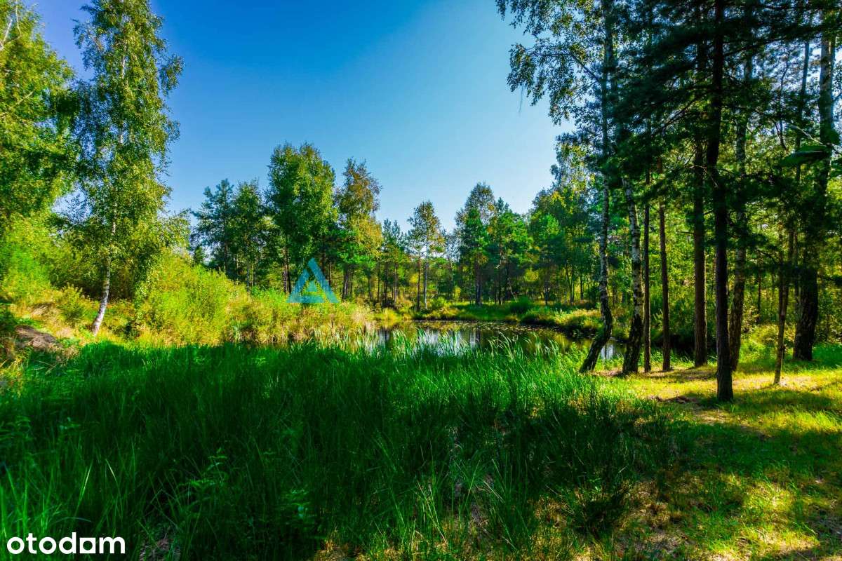 Urokliwa działka w centrum lasu ze stawem! - Pełny obrazek: 4/16