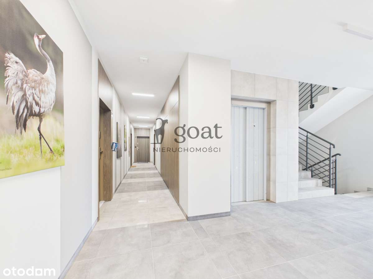 2pokoje | 41m2 | ujescisko cedrowa | bez pcc-18