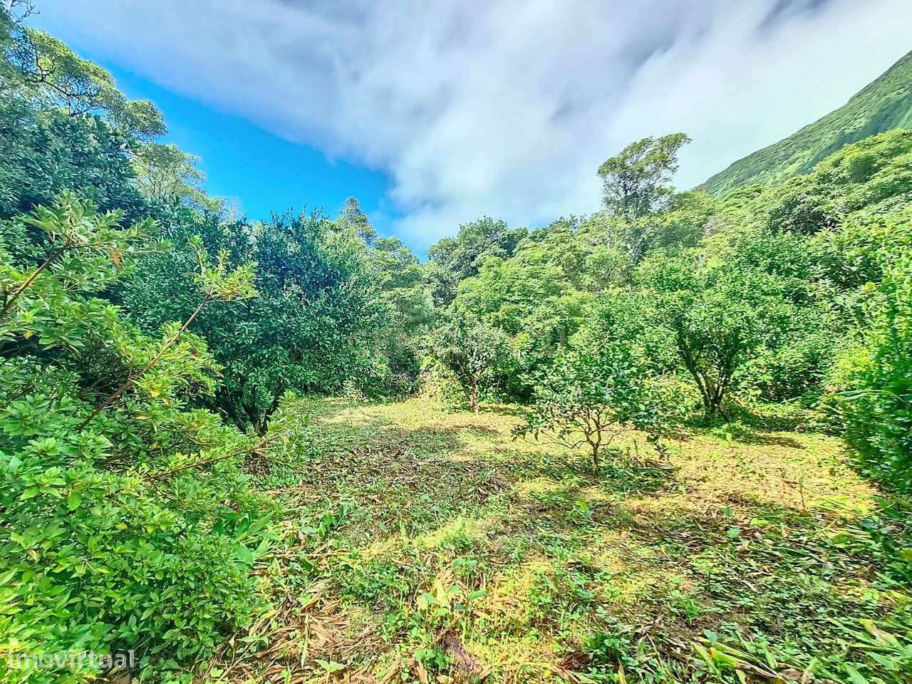 Quinta na Fajã Grande, Ilha das Flores. - Grande imagem: 5/10