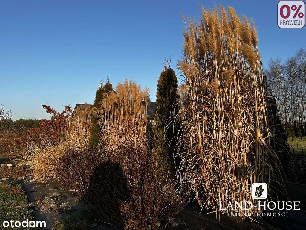 Komfortowy dom parterowy gotowy do zamieszkania-19