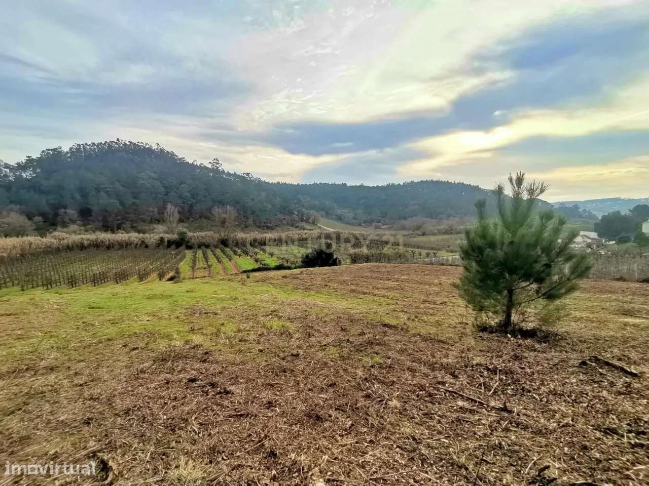 Terreno Urbano para Venda - Possibilidade de construção de 3 moradias - Grande imagem: 4/11