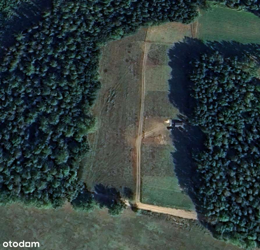 Działka na sprzedaż Kożuchy Małe/Biała Piska/  (warunki zabudowy) - Pełny obrazek: 4/14