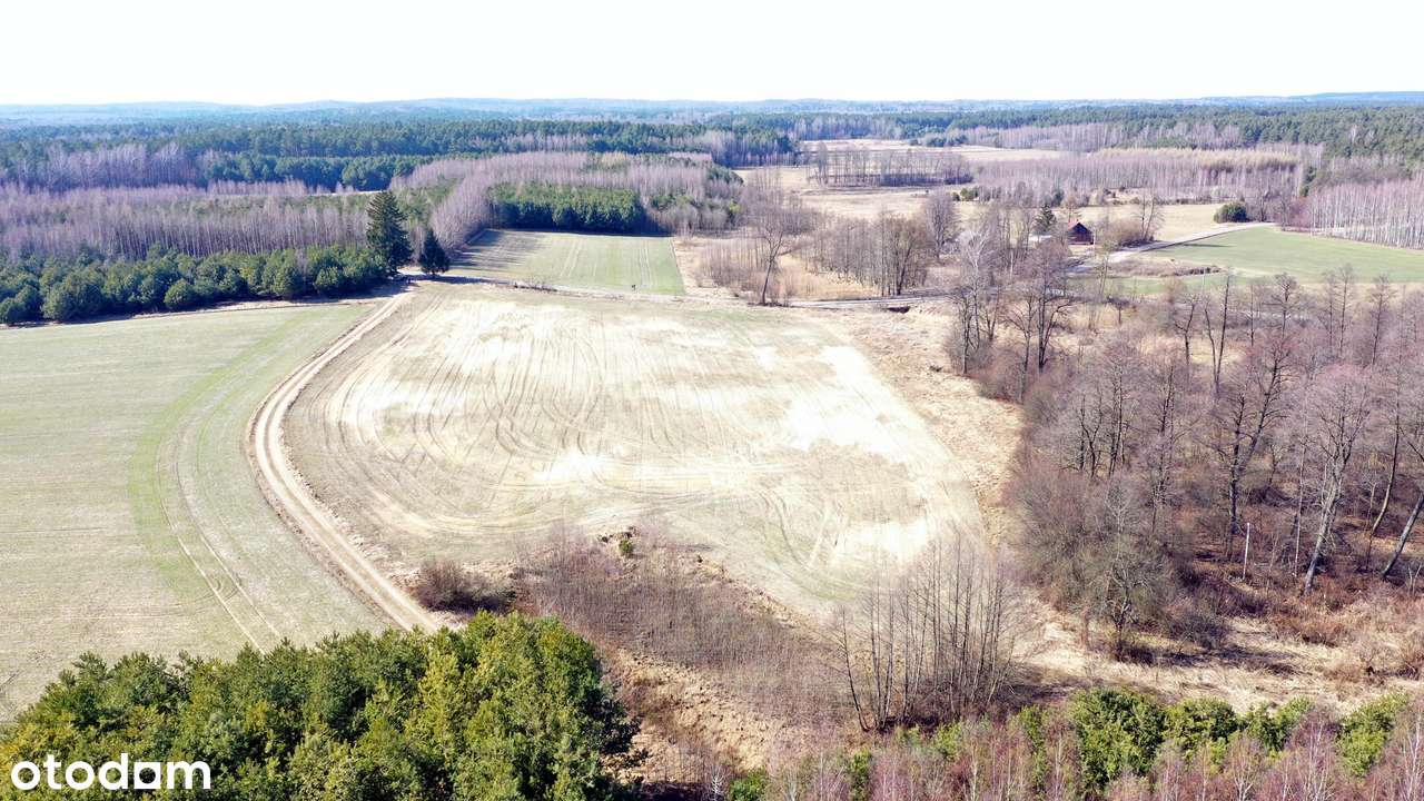 Marzysz o własnej działce? To może być ta!!! - Pełny obrazek: 4/6