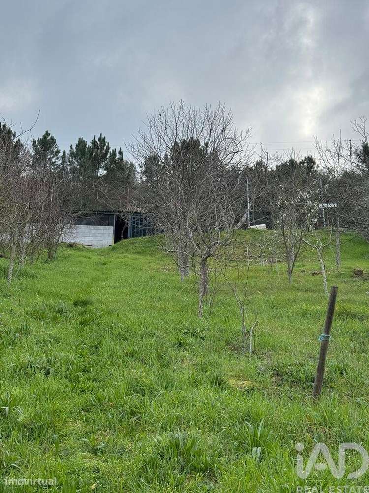 Terreno Agrícola em Tabuaço - Grande imagem: 5/14