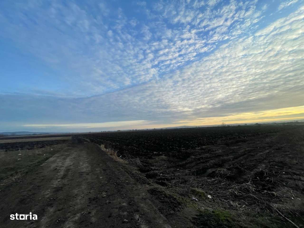 TEREN EXTRAVILAN | 82 ARI | PERIFERIA ORASULUI - Imagine principală: 3/10