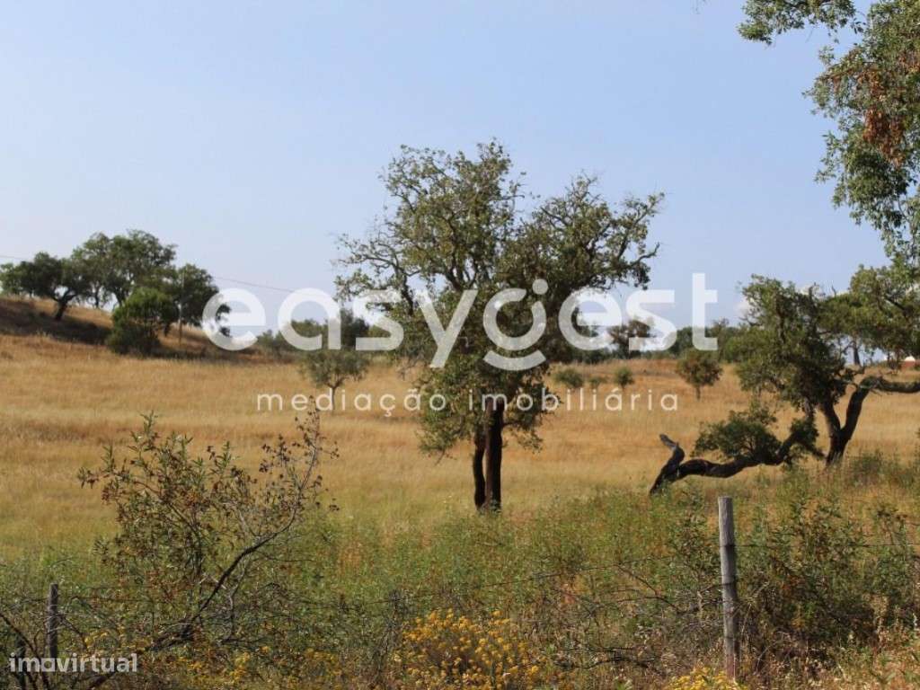 Terreno com Ruína - Melides - Grande imagem: 5/20