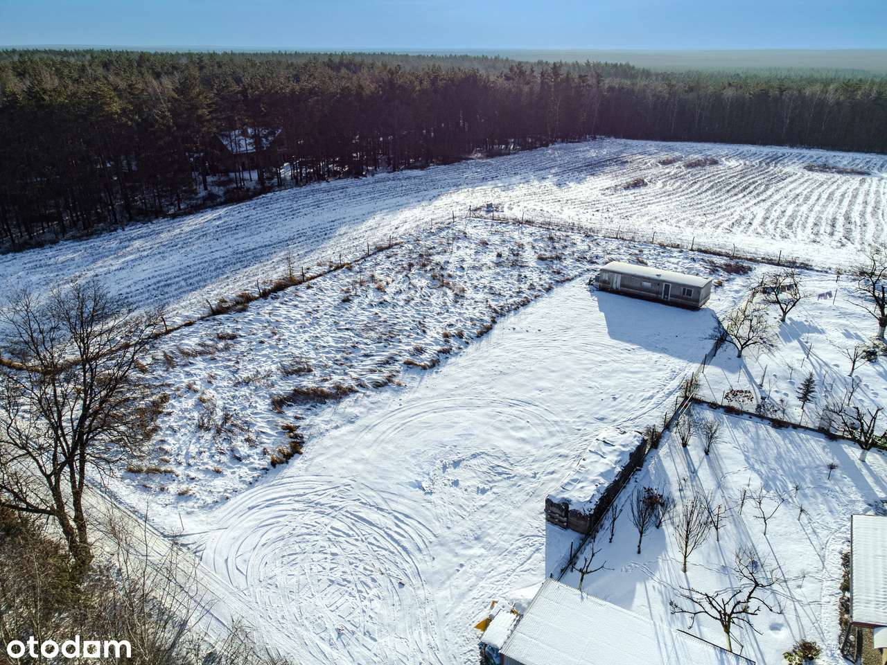 w lesie | nasłoneczniona | woda na działce-2