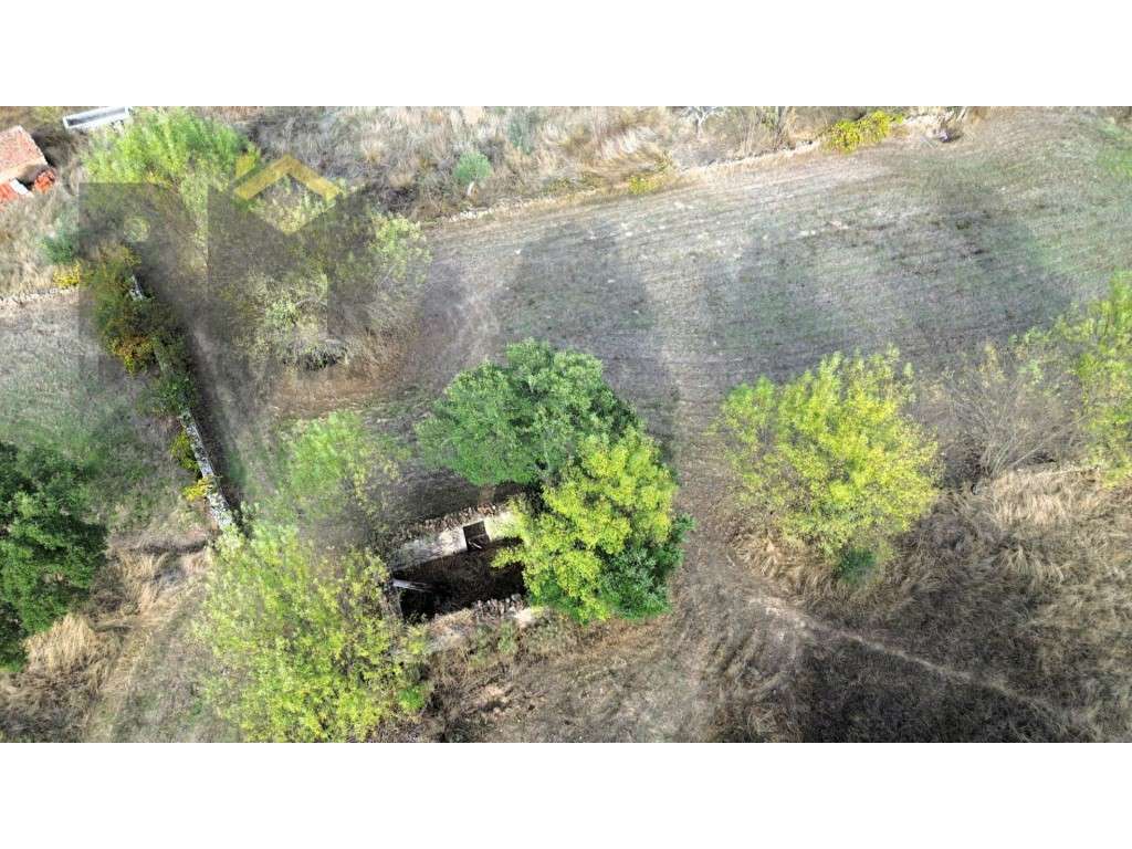 Quinta com 3.250m2 para venda na Póvoa de Rio de Moinhos! - Grande imagem: 3/10