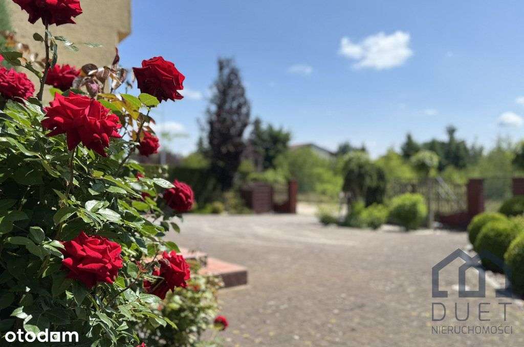 Dom pod lasem - Krosinko - komfort, wygoda, spokój-18