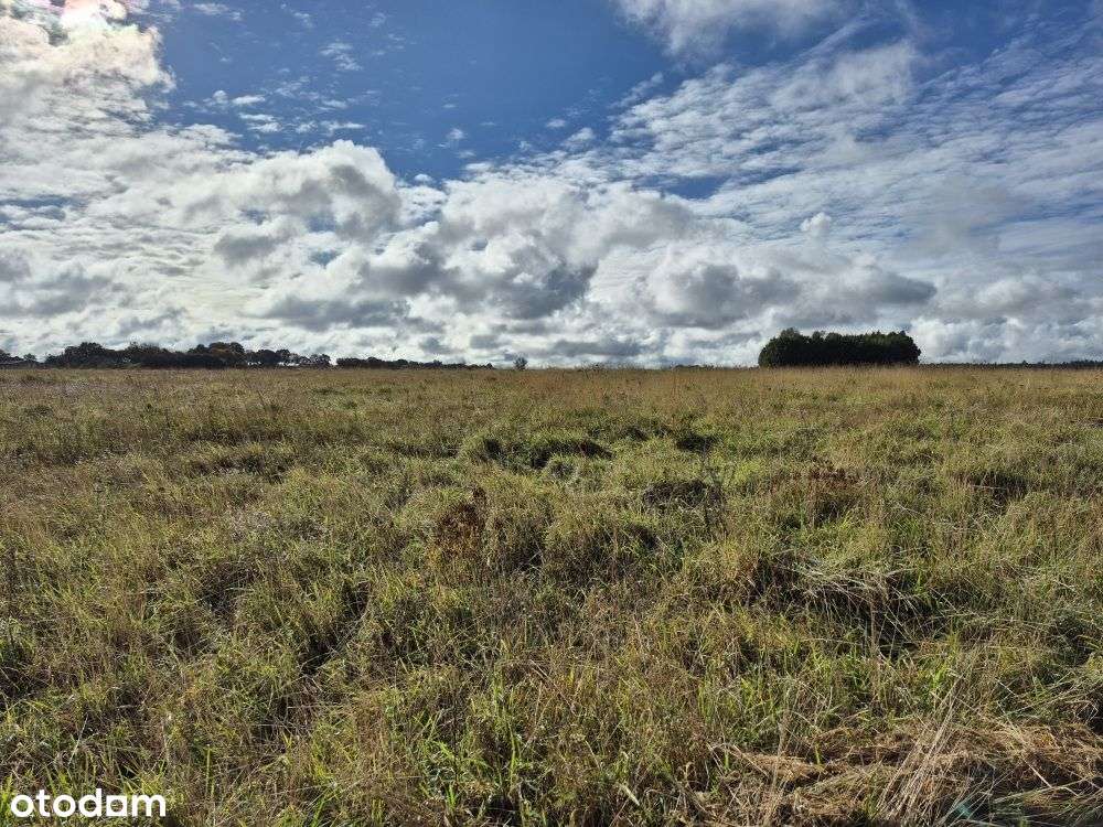 Działki Budowlane Przy Lesie Państwowym-5