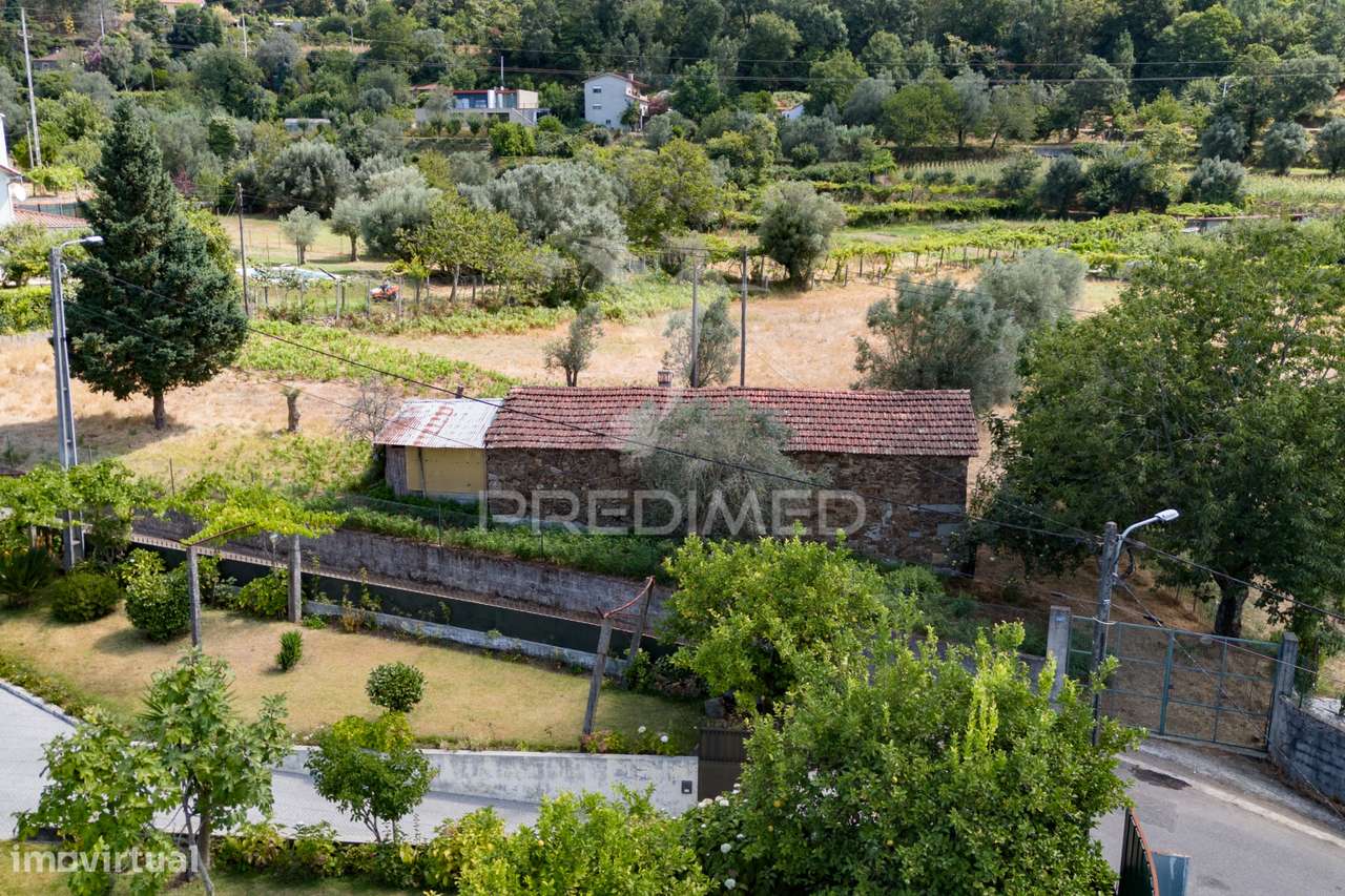 Quintinha com Casa em Xisto para Recuperar – Anais - Grande imagem: 5/13