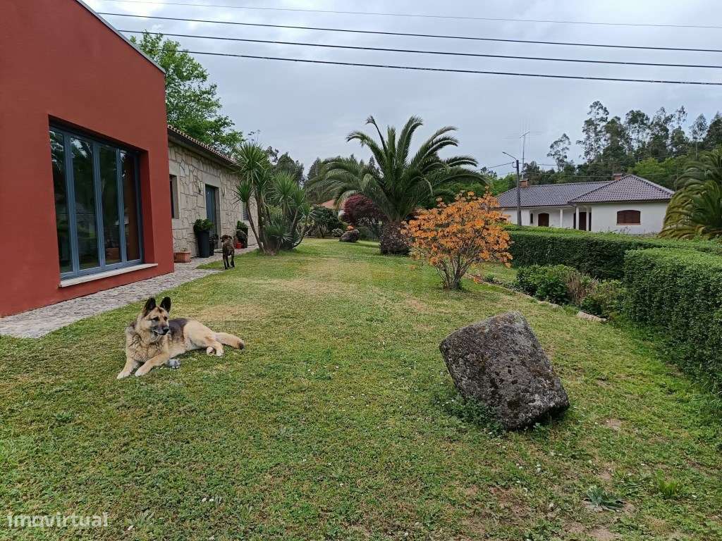 Moradia com terreno envolvente, espaços amplos e excelente potencial-10