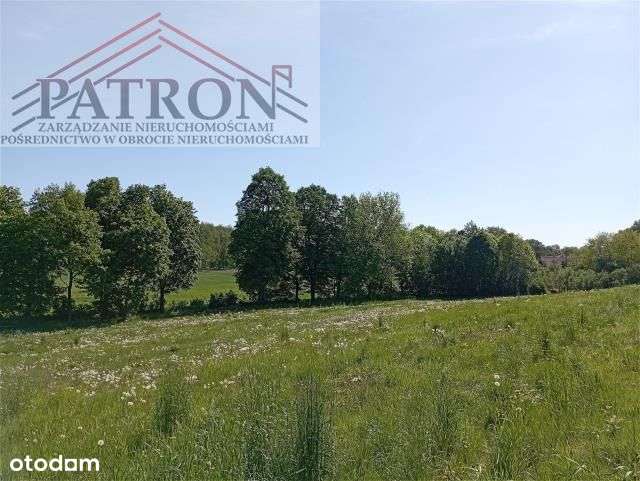 Działka budowlana w malowniczej wsi Włodzice Małe.-9