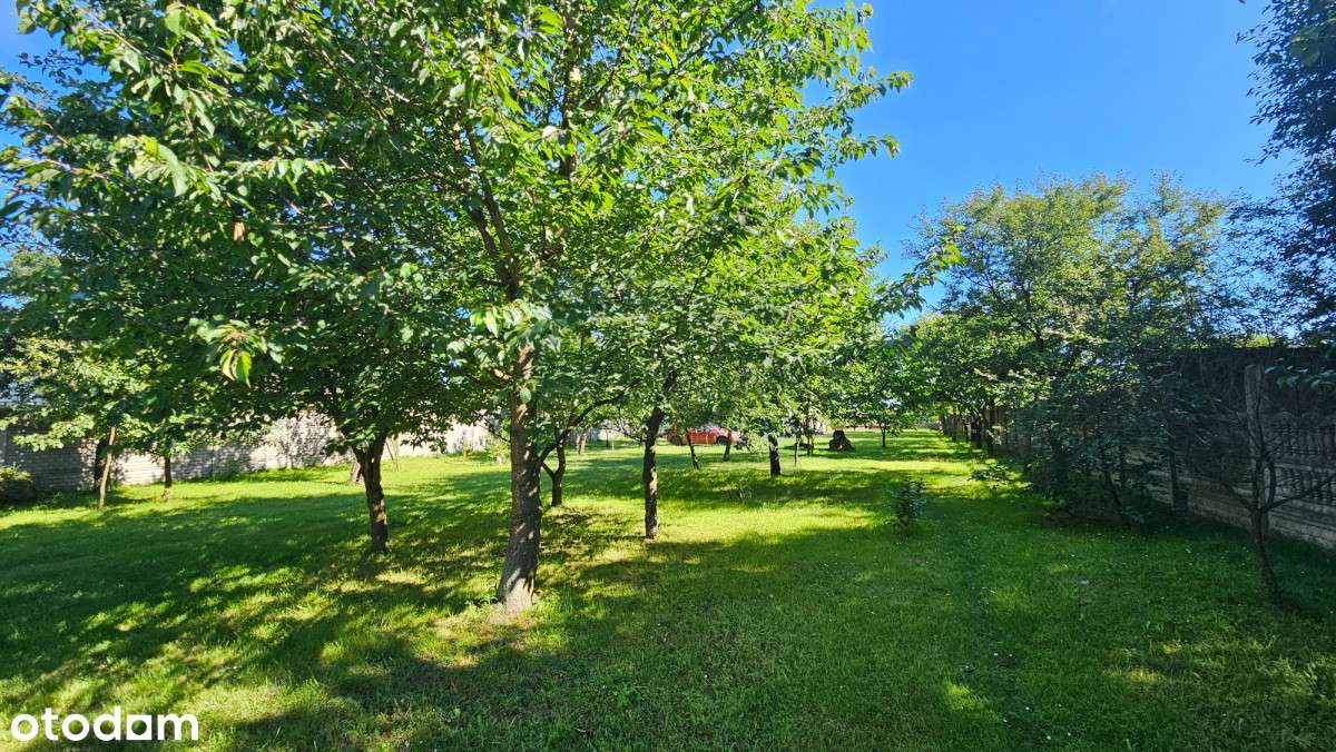 Dom z dużą działką na sprzedaż Lubojenka - Pełny obrazek: 4/16