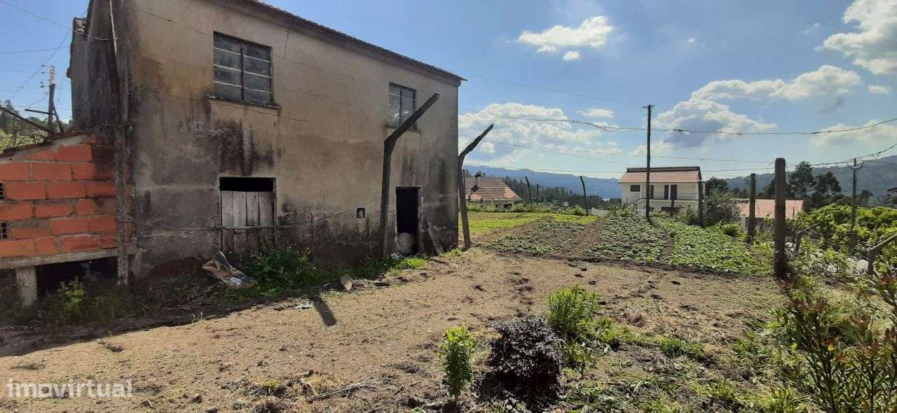 Terreno – Oliveira de Frades - Grande imagem: 5/29