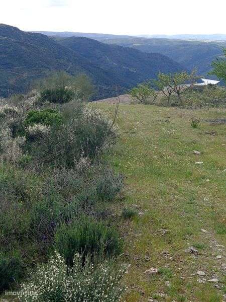 Terreno rústico em Moncorvo - Grande imagem: 5/5