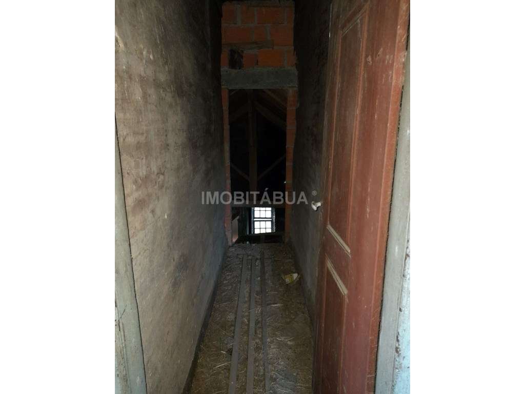 Quinta de Mirtilos com mais de 3 Hectares, localizada perto de Tondela-22