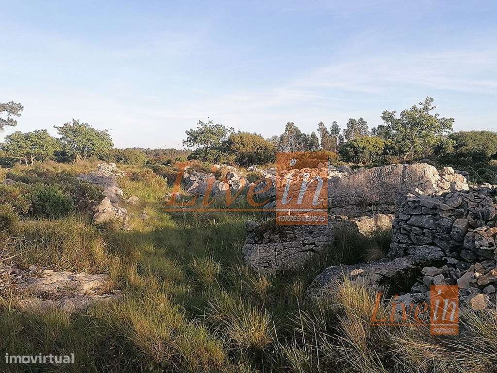 Terreno Rústico com 5240 m² na Lourinhã - Grande imagem: 5/15