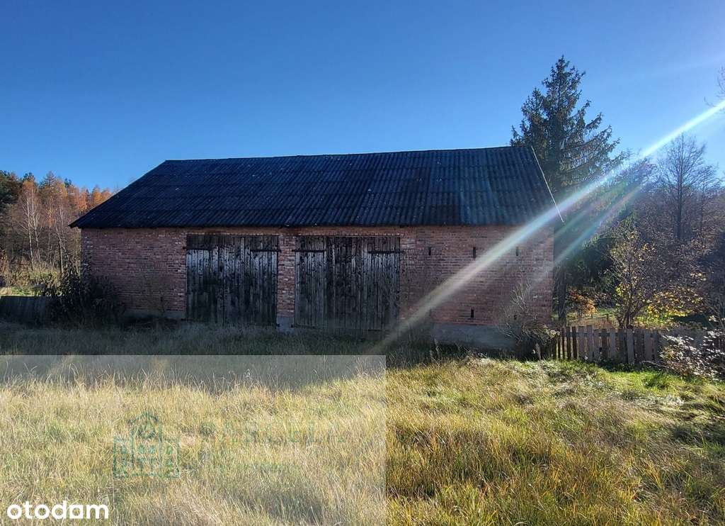 Sprzedam dom do remontu w Rudce gm. Wielgomłyny-8