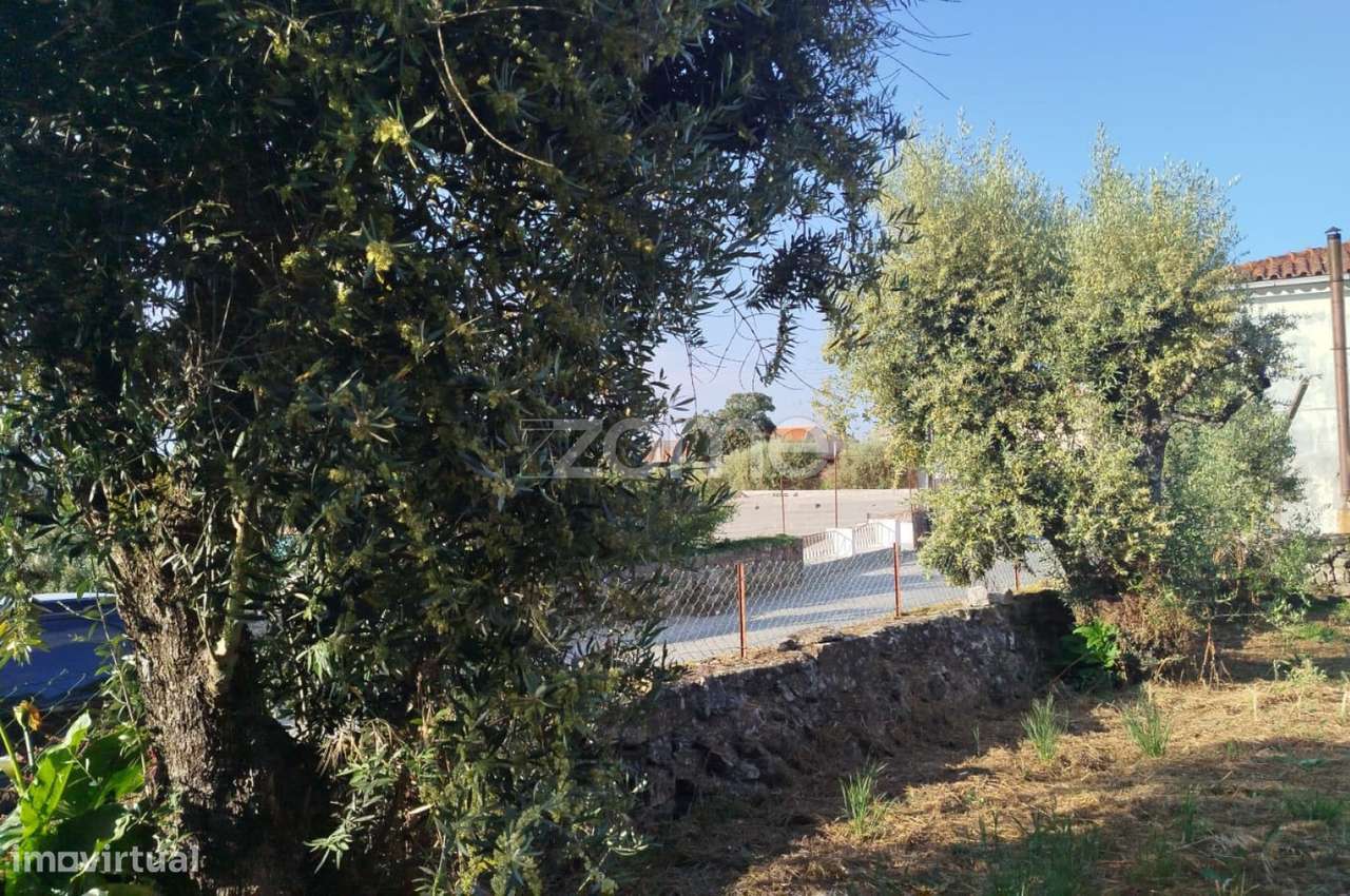 Moradia em Pedra com quintal em Matados, a 5 minutos Mangualde-23