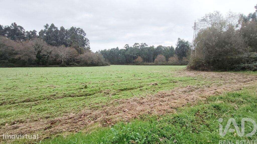 Terreno Agrícola em Cornes - Grande imagem: 3/4