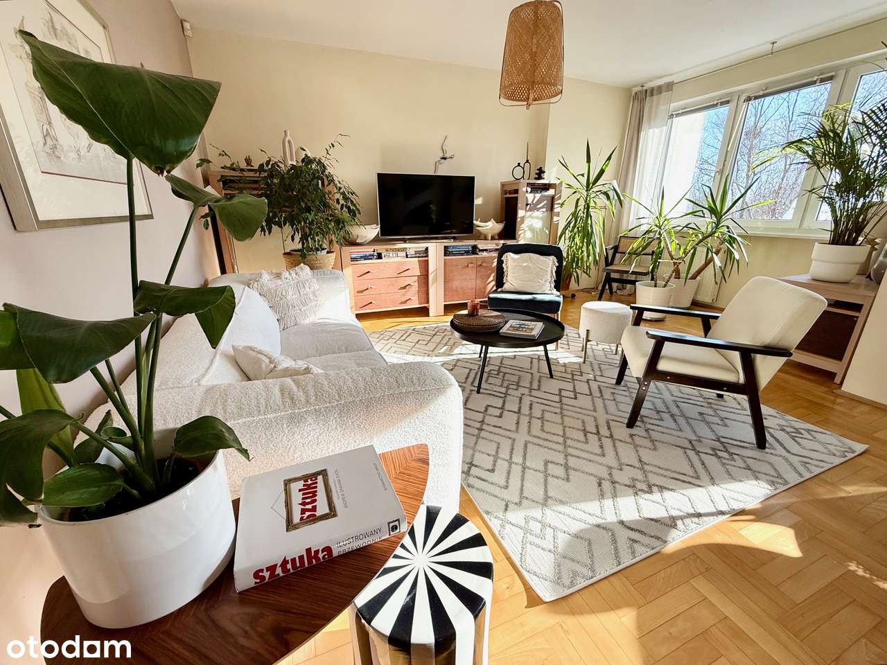 OKAZJA Słoneczny dom w zieleni! 10 min Centrum Garaż Duży ogród Cisza-2