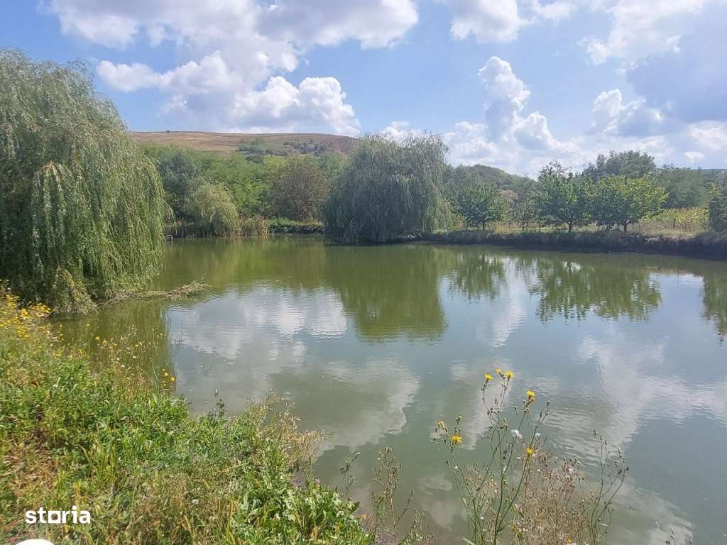 Livada cu cabana si lac (12.ooo mp) la Dostat - Imagine principală: 2/20