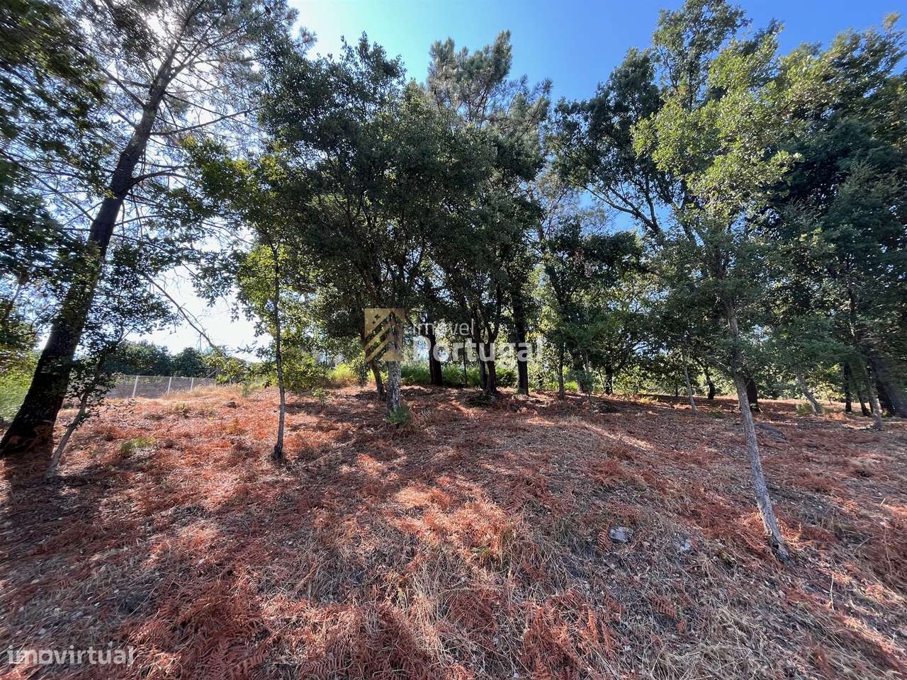 Excelente Preço - Terreno com 3.554m² e Potencial de Construção-5