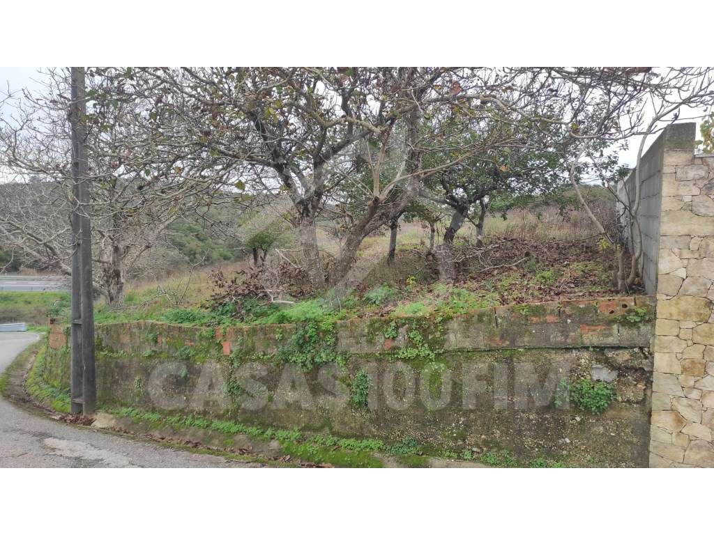 TERRENO RÚSTICO COM VIABILIDADE DE CONSTRUÇÃO - Grande imagem: 4/5