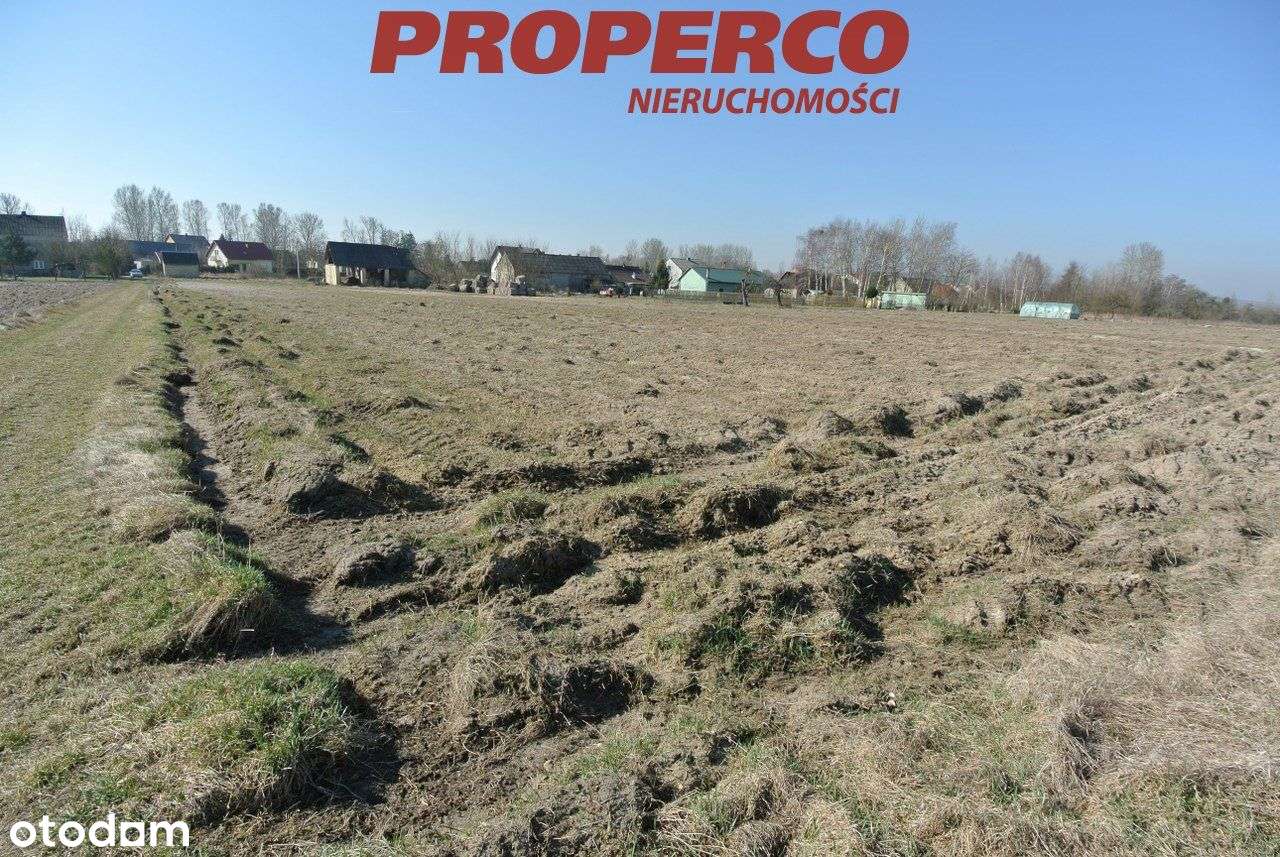 Działka 7900m2, Rębów, Kije. - Pełny obrazek: 4/7