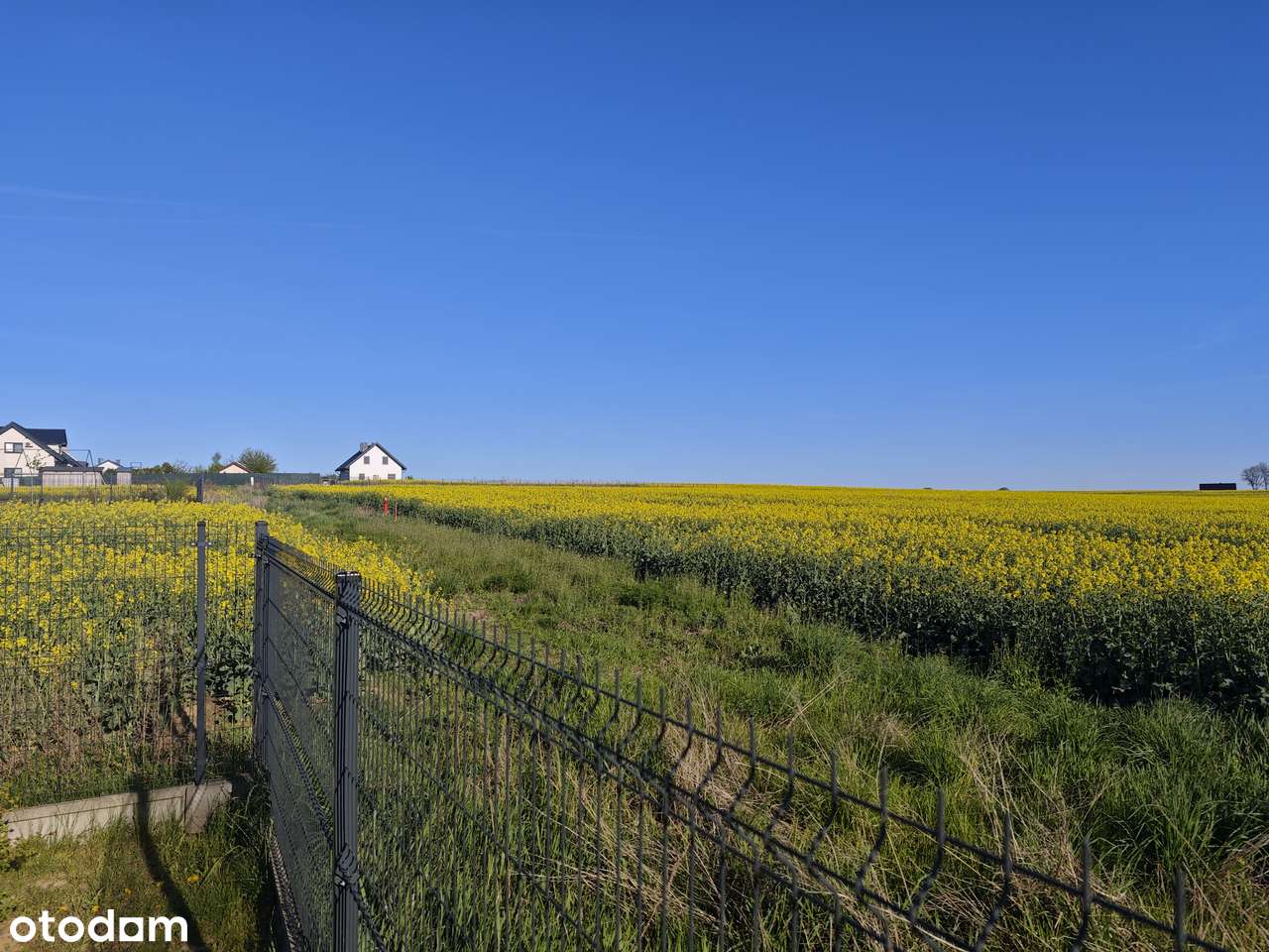 Atrakcyjna działka na sprzedaż w  Żabiej Woli - Pełny obrazek: 3/3