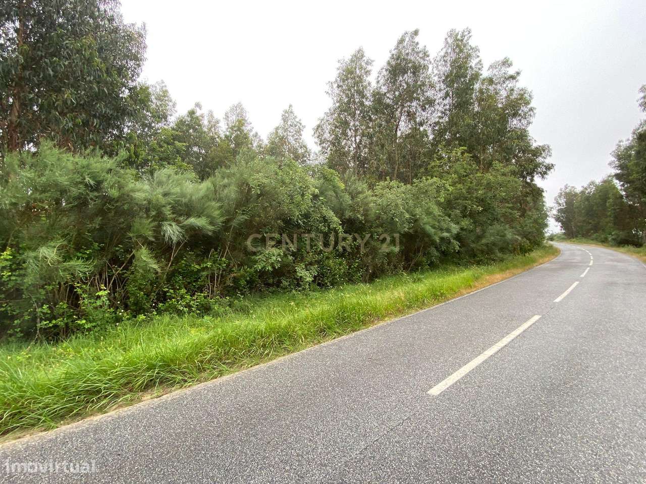 Terreno Espetacular em Tábua com Acesso e Luz Natural - Grande imagem: 4/11