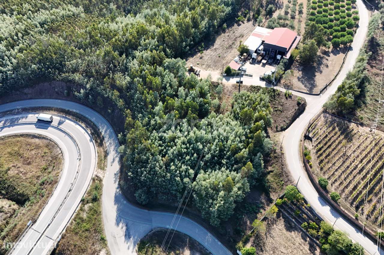 Terreno | Penacova | Porto da Raiva | 5984 m2 - Grande imagem: 2/16