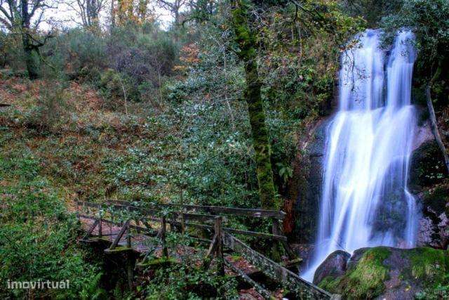 Terreno na zona do geres com 11.800 m2 - Grande imagem: 4/34