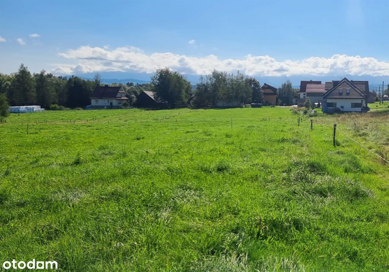 Widokowa działka rolna w Ostrowsku