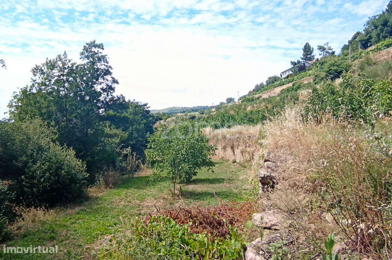 Quinta do Mosteiro de Salzedas com mais 17 ha e património histórico-50