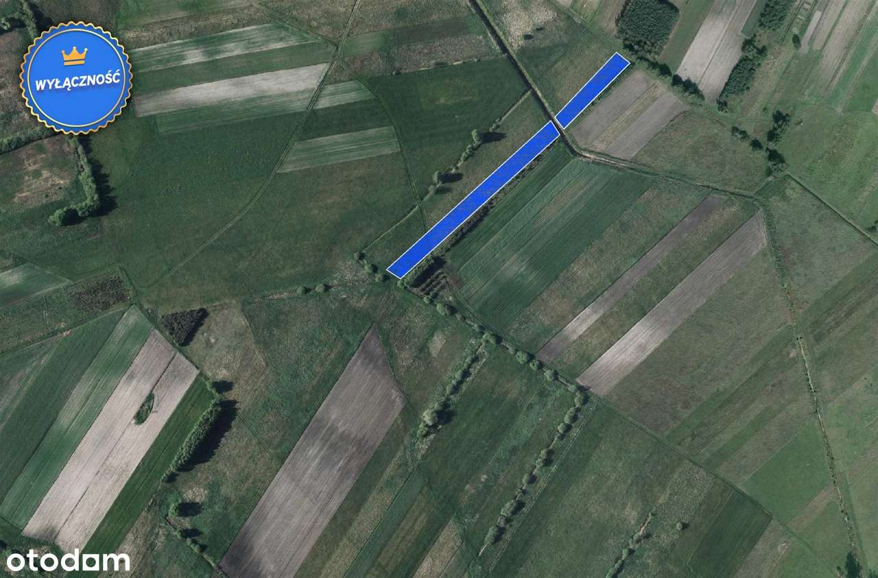 Pakiet Łąk w miejscowości Wola Sernicka - Pełny obrazek: 2/2