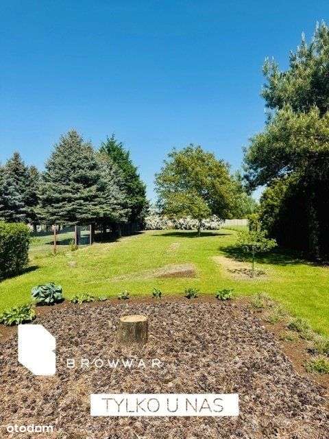 Działka z pięknym ogrodem -Tarnowo Podgórne - Pełny obrazek: 3/18