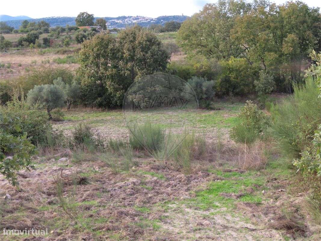 Quinta T0 para venda - Grande imagem: 5/26