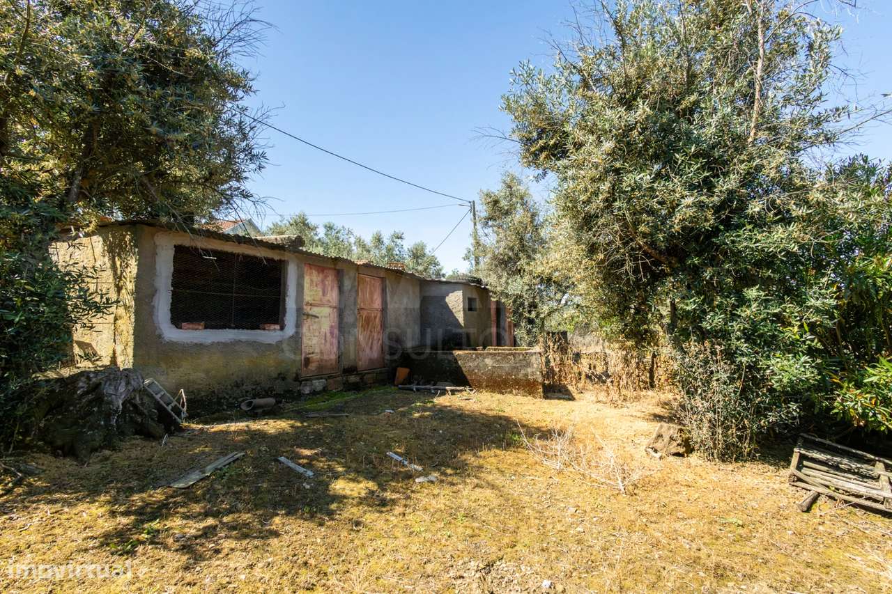 PROPRIEDADE DE CARÁTER NA N2 | 400 m² DE CONSTRUÇÃO, OLIVAL E POTEN...-23