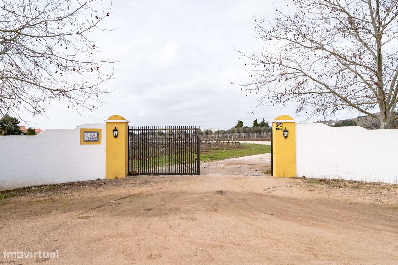 Descubra o seu Refúgio dos Sonhos no Alentejo! - Grande imagem: 4/33