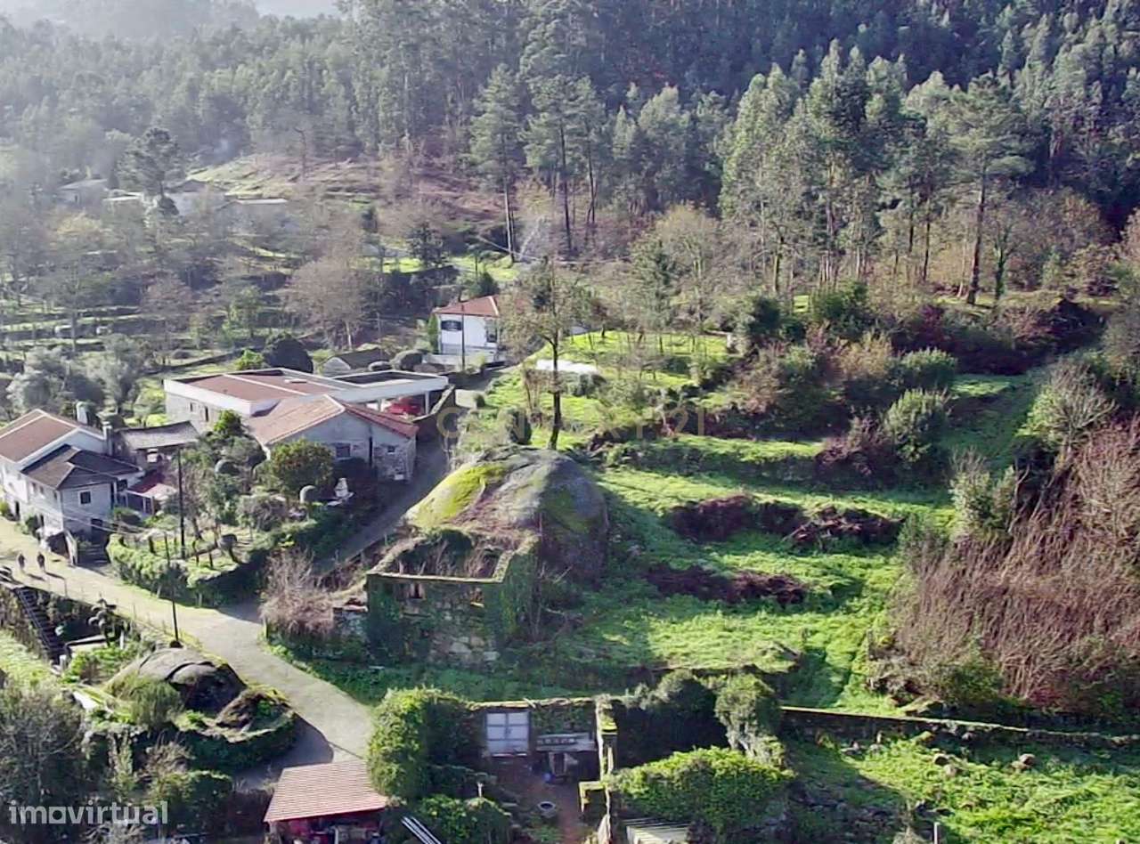 Quinta e Herdade Povoa de Lanhoso (Aceita se propostas) - Grande imagem: 5/13
