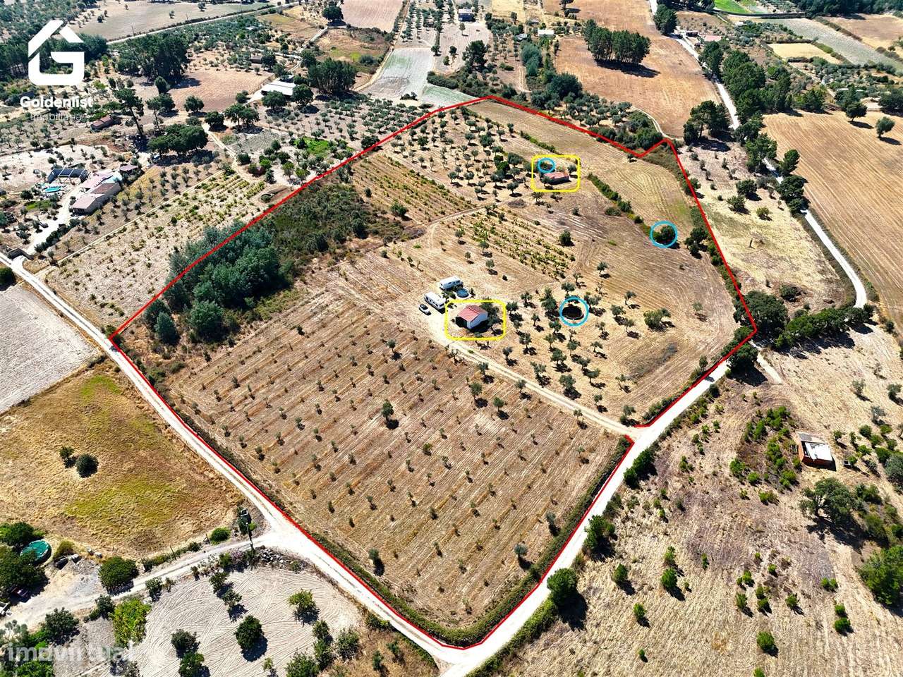 Quinta  Venda em Lardosa,Castelo Branco-54