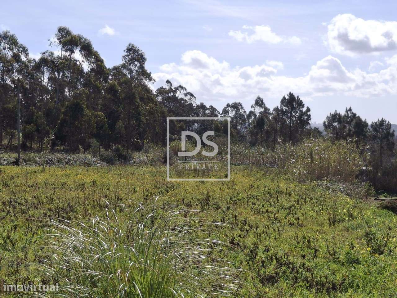 Terreno para construção de 3 Moradias em Sto Isidoro - Grande imagem: 5/8