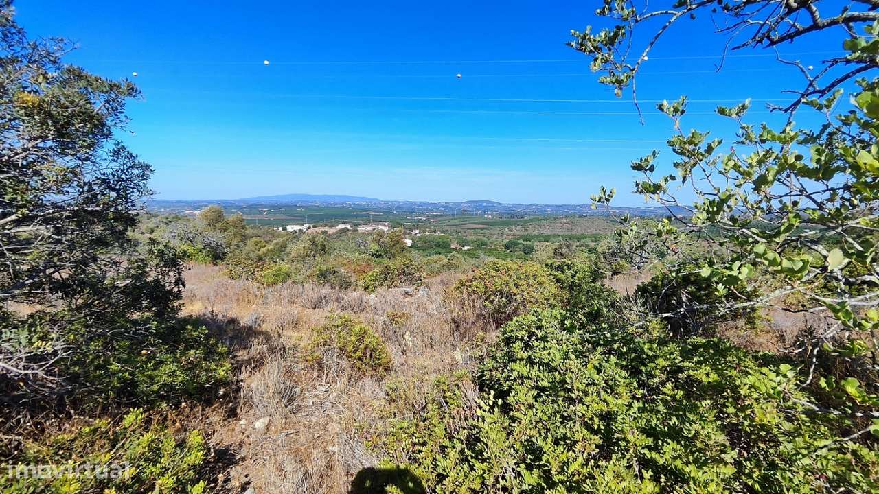 Terreno urbano + rústico 8.120 m2 em Tunes - Grande imagem: 5/19