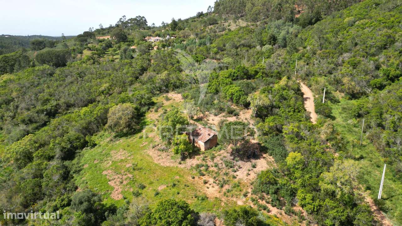 Propriedade com 20,8750 ha a 18 Km da Zambujeira do Mar - Grande imagem: 3/24