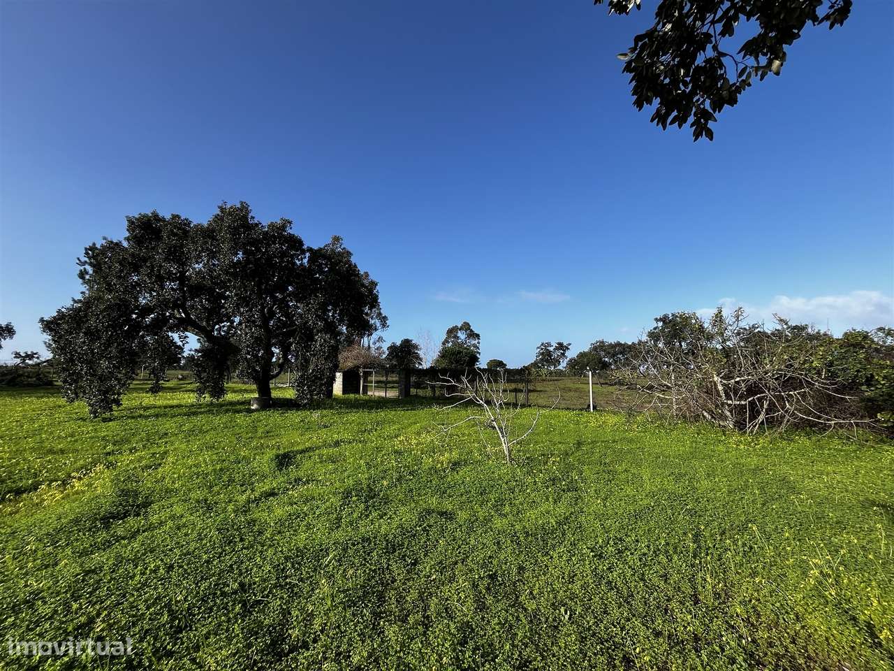 Terreno Urbano  Venda em Cortiçadas de Lavre e Lavre,Montemor-o-Novo-8